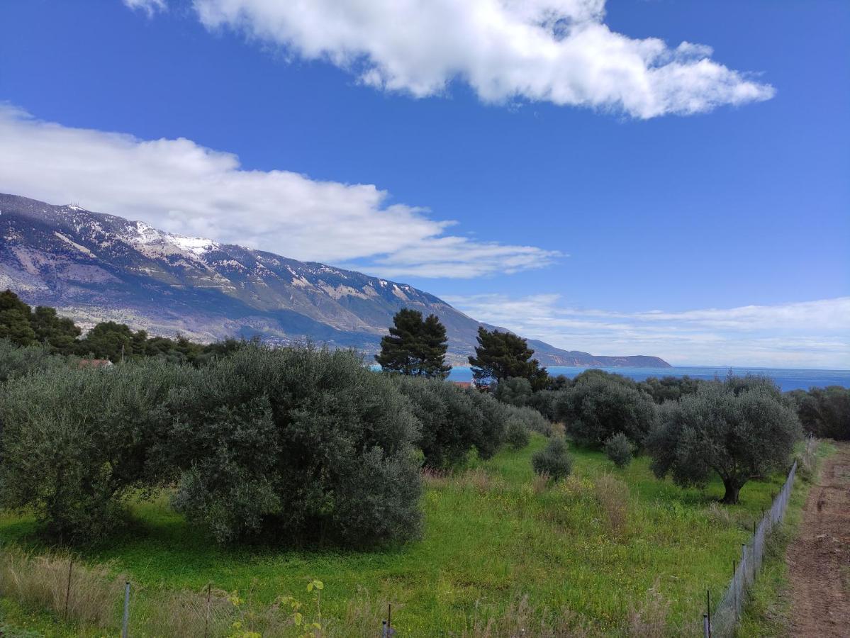 Villa Ruby Pessada Песада Экстерьер фото